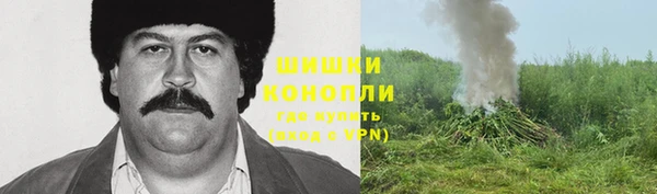 винт Армянск